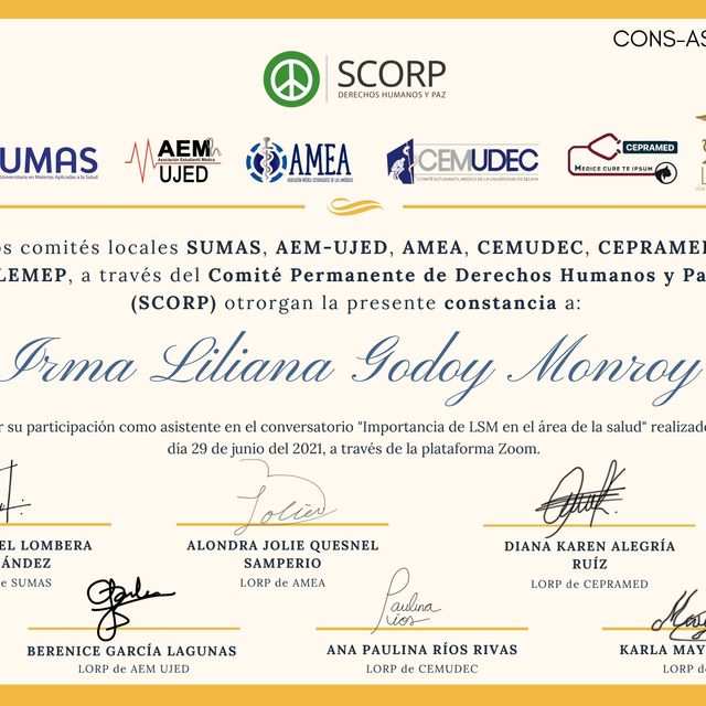 Ampliar imagen: certificate 1