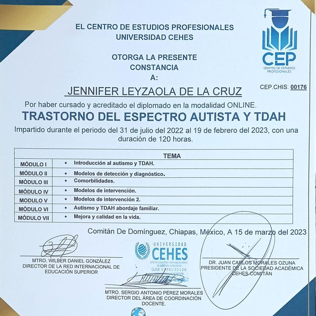 Ampliar imagen: certificate 23