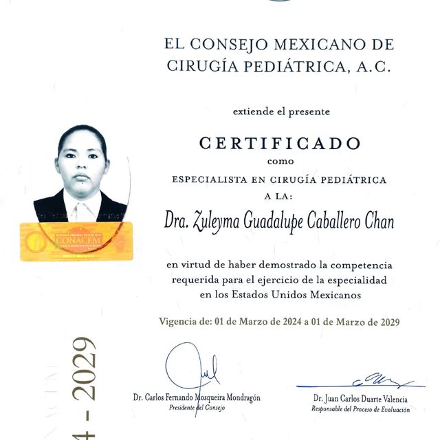 Ampliar imagen: certificate 2