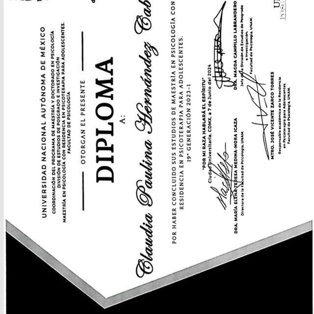 Ampliar imagen: certificate 15