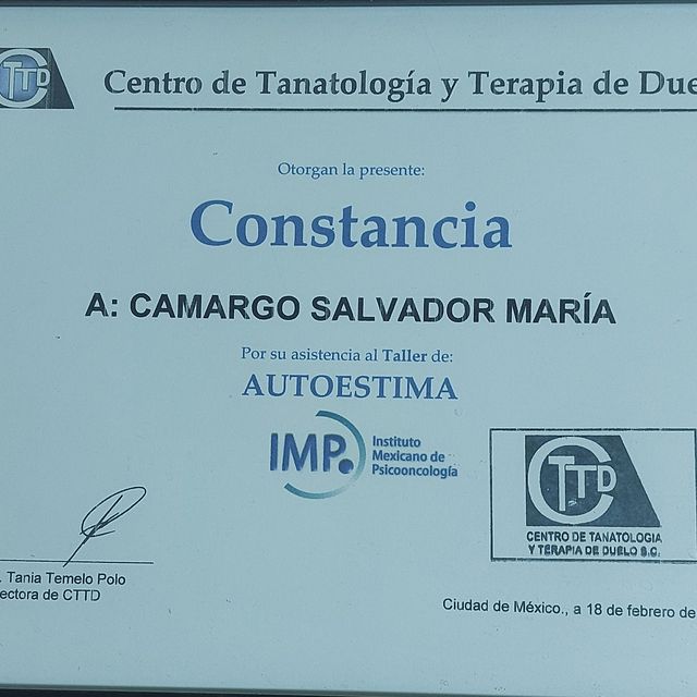 Ampliar imagen: certificate 27