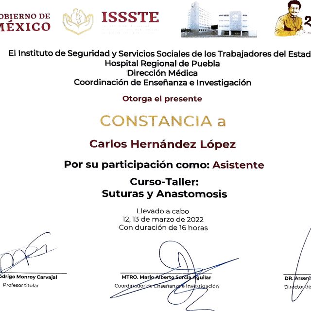 Ampliar imagen: certificate 21