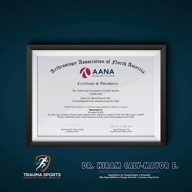 Ampliar imagen: certificate 4