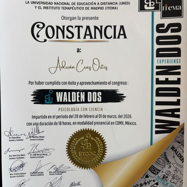 Ampliar imagen: certificate 4