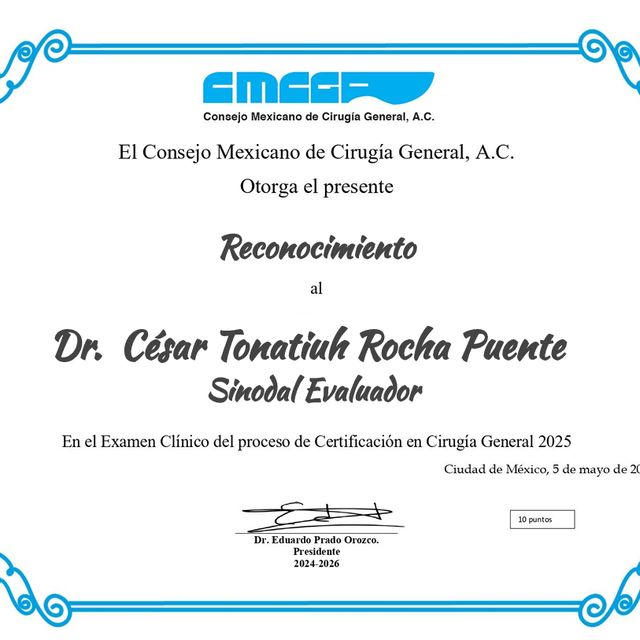 Ampliar imagen: certificate 90