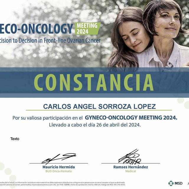 Ampliar imagen: certificate 2