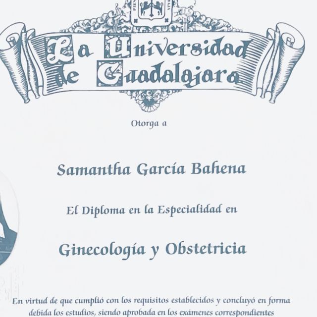 Ampliar imagen: certificate 2