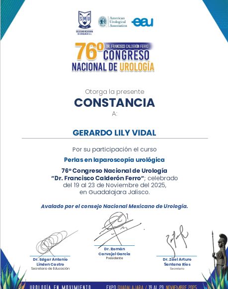Ampliar imagen: certificate 3