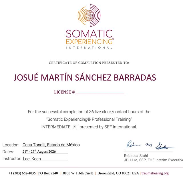 Ampliar imagen: certificate 6