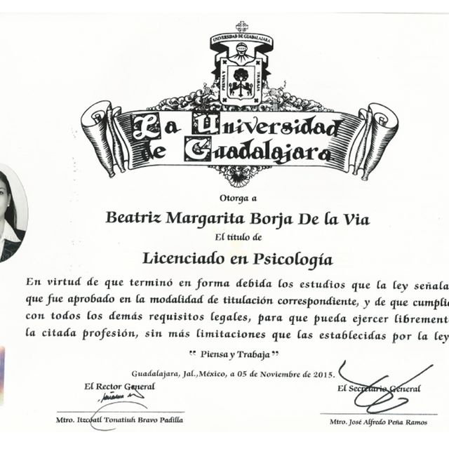 Ampliar imagen: certificate 3