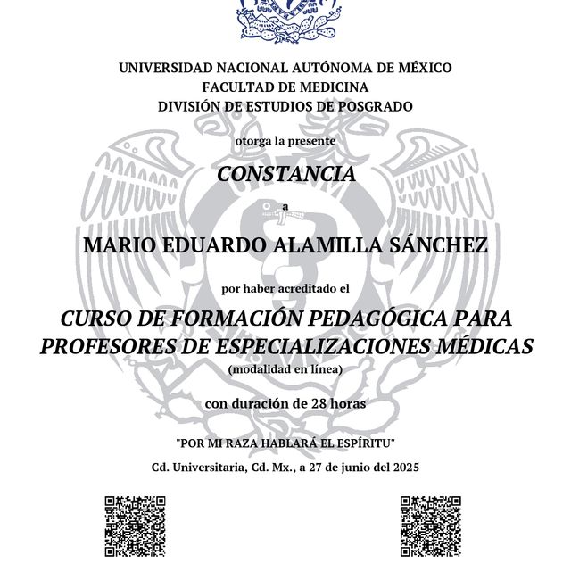 Ampliar imagen: certificate 4