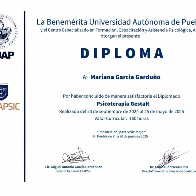 Ampliar imagen: certificate 1