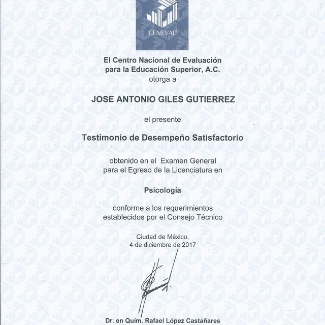 Ampliar imagen: certificate 6