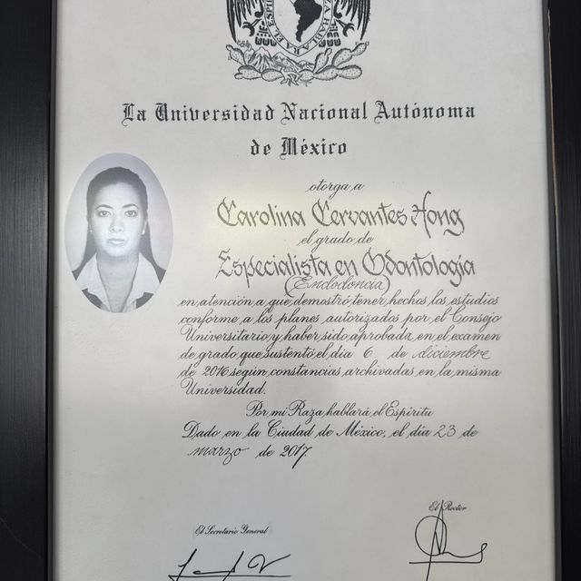 Ampliar imagen: certificate 1