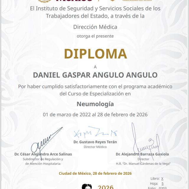 Ampliar imagen: certificate 5