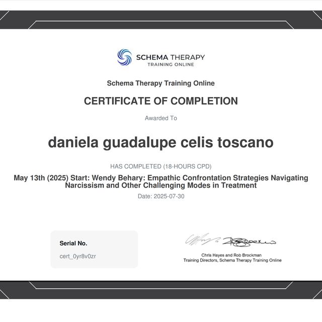 Ampliar imagen: certificate 3