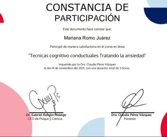 Ampliar imagen: certificate 7