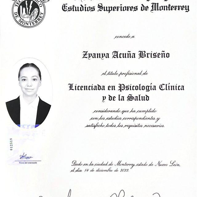 Ampliar imagen: certificate 1