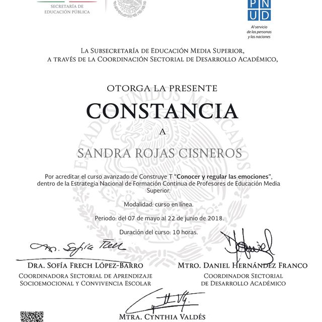 Ampliar imagen: certificate 1