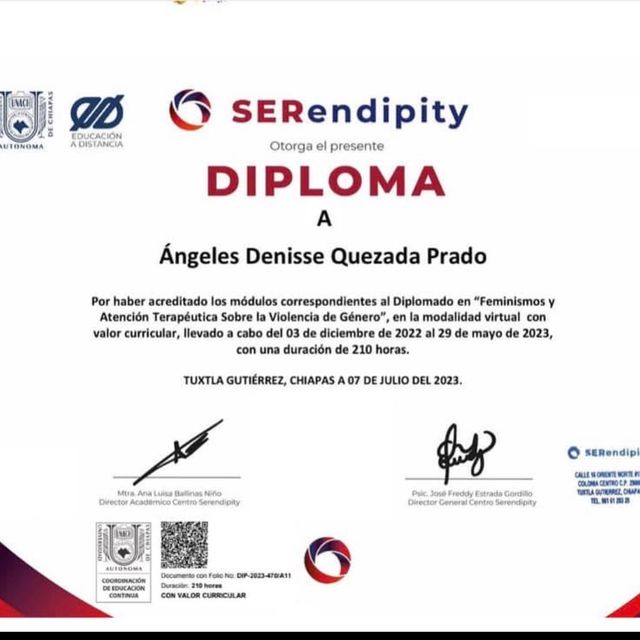 Ampliar imagen: certificate 12