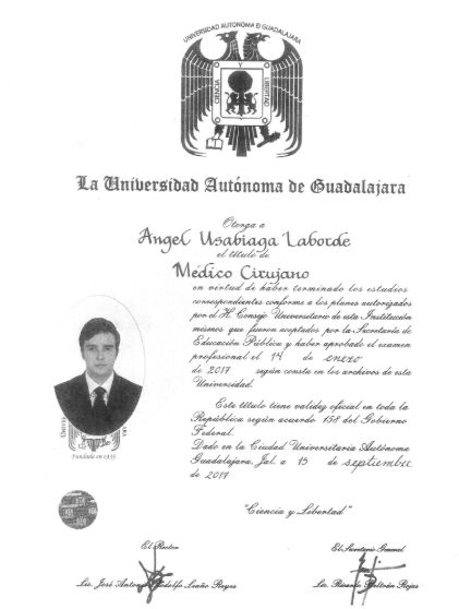 Ampliar imagen: certificate 2