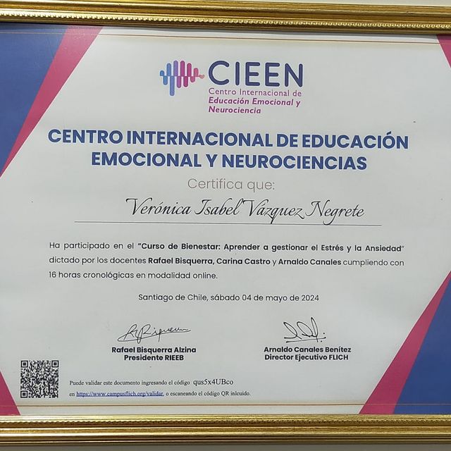 Ampliar imagen: certificate 3