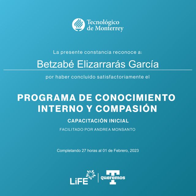 Ampliar imagen: certificate 1