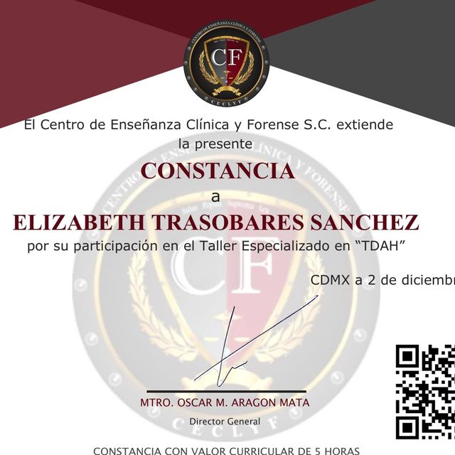 Ampliar imagen: certificate 4