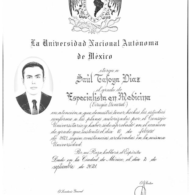 Ampliar imagen: certificate 2