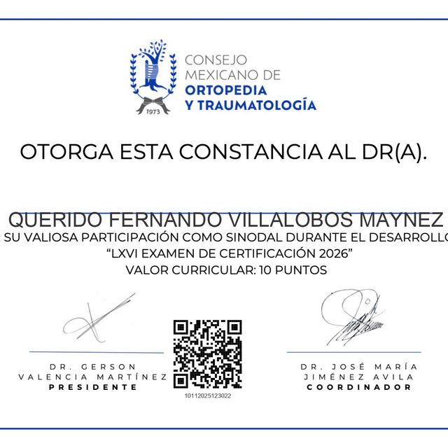 Ampliar imagen: certificate 3