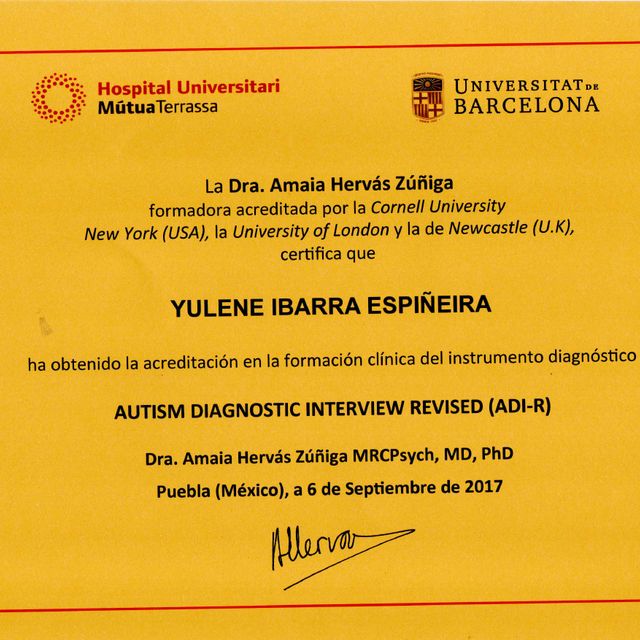 Ampliar imagen: certificate 1