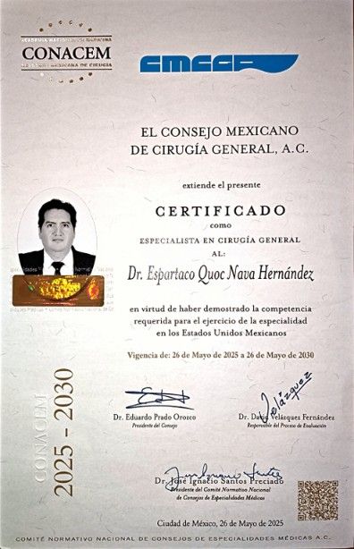 Ampliar imagen: certificate 1