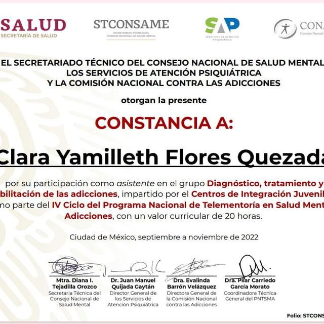 Ampliar imagen: certificate 1