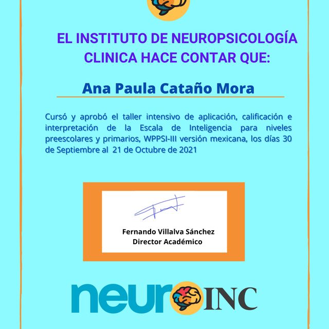 Ampliar imagen: certificate 2