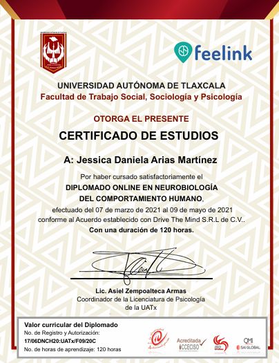 Ampliar imagen: certificate 1