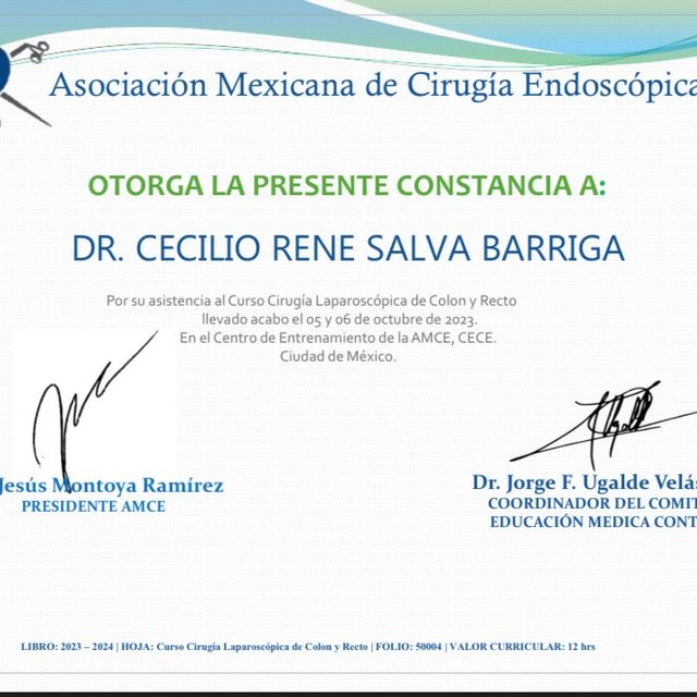 Ampliar imagen: certificate 5