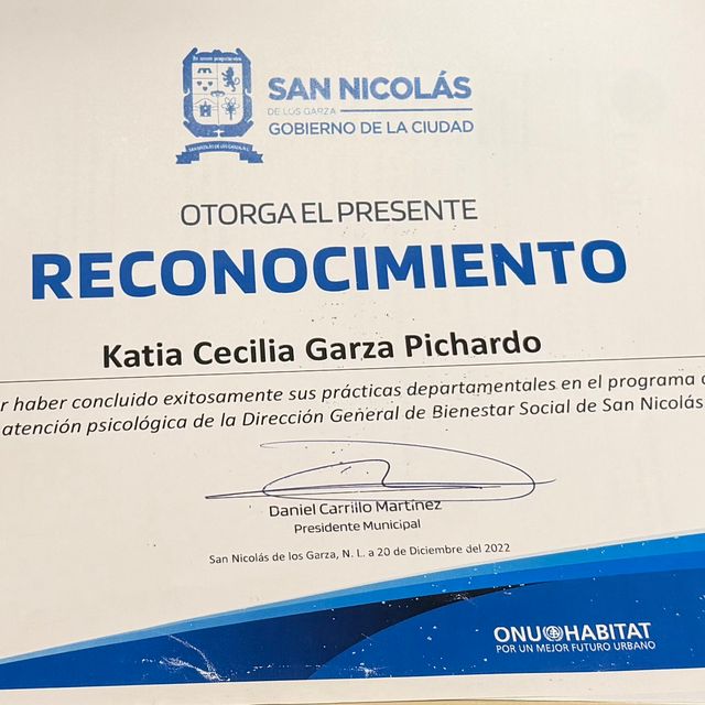 Ampliar imagen: certificate 2