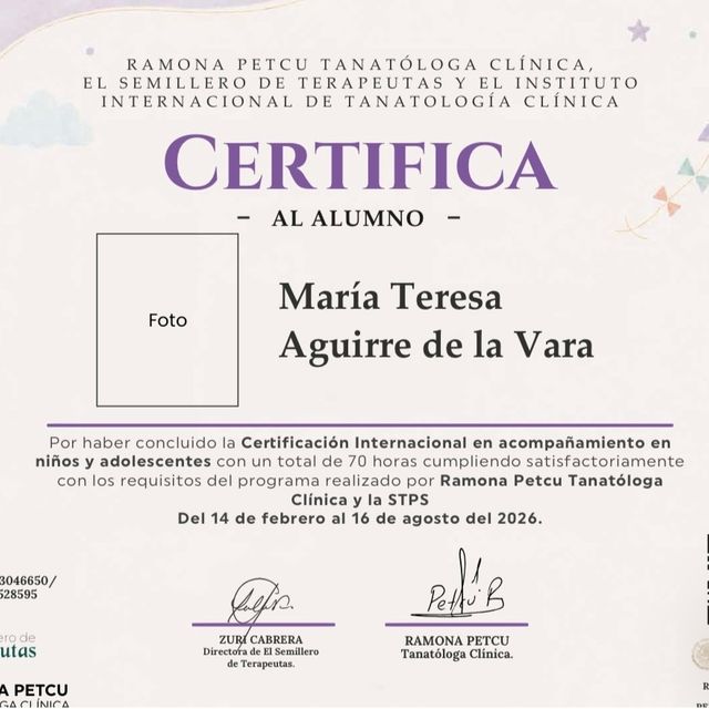 Ampliar imagen: certificate 2