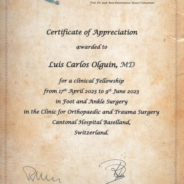 Ampliar imagen: certificate 3