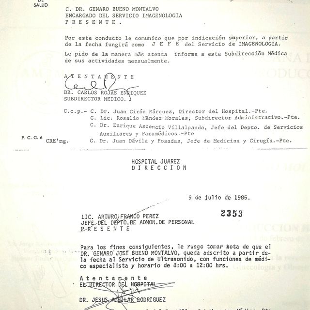 Ampliar imagen: certificate 6