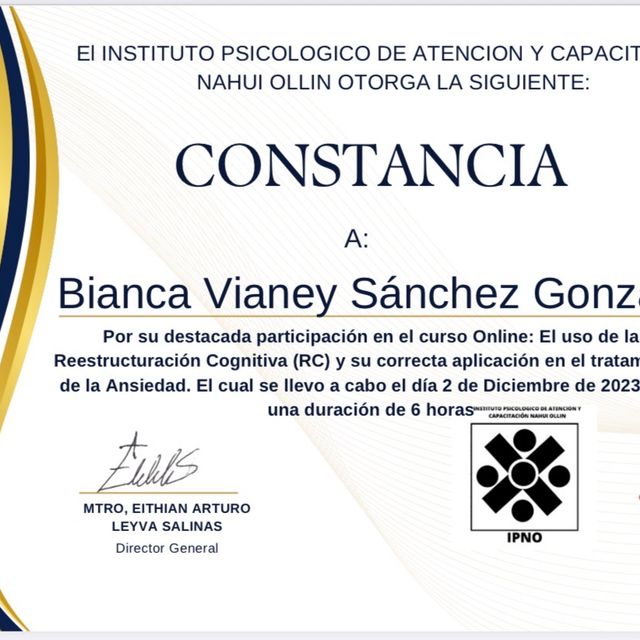 Ampliar imagen: certificate 13