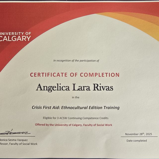 Ampliar imagen: certificate 6