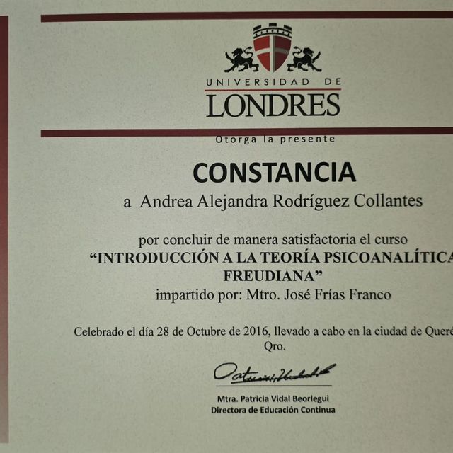 Ampliar imagen: certificate 3