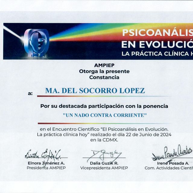 Ampliar imagen: certificate 1