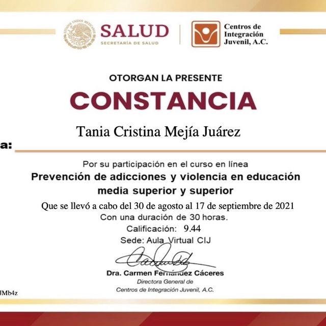 Ampliar imagen: certificate 14