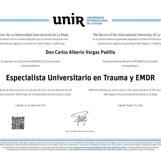 Ampliar imagen: certificate 2