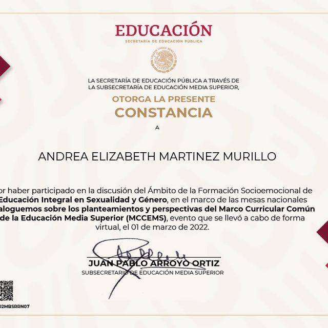 Ampliar imagen: certificate 54