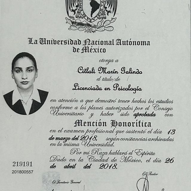 Ampliar imagen: certificate 1