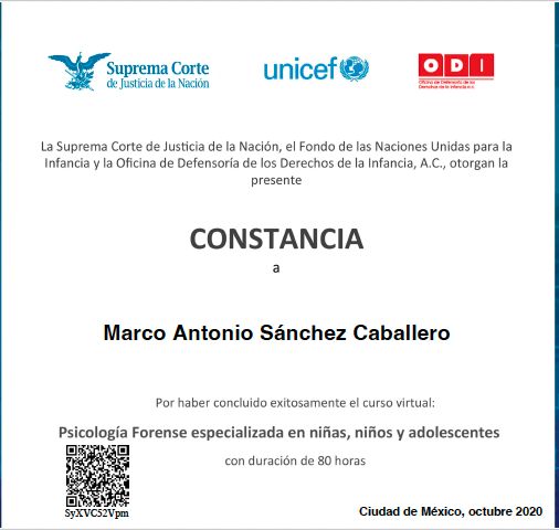 Ampliar imagen: certificate 3