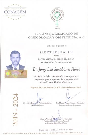 Ampliar imagen: certificate 9